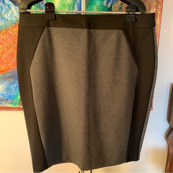 SC&CO XL Skirt Slimming Panels Stretchy - Picture 2 of 9